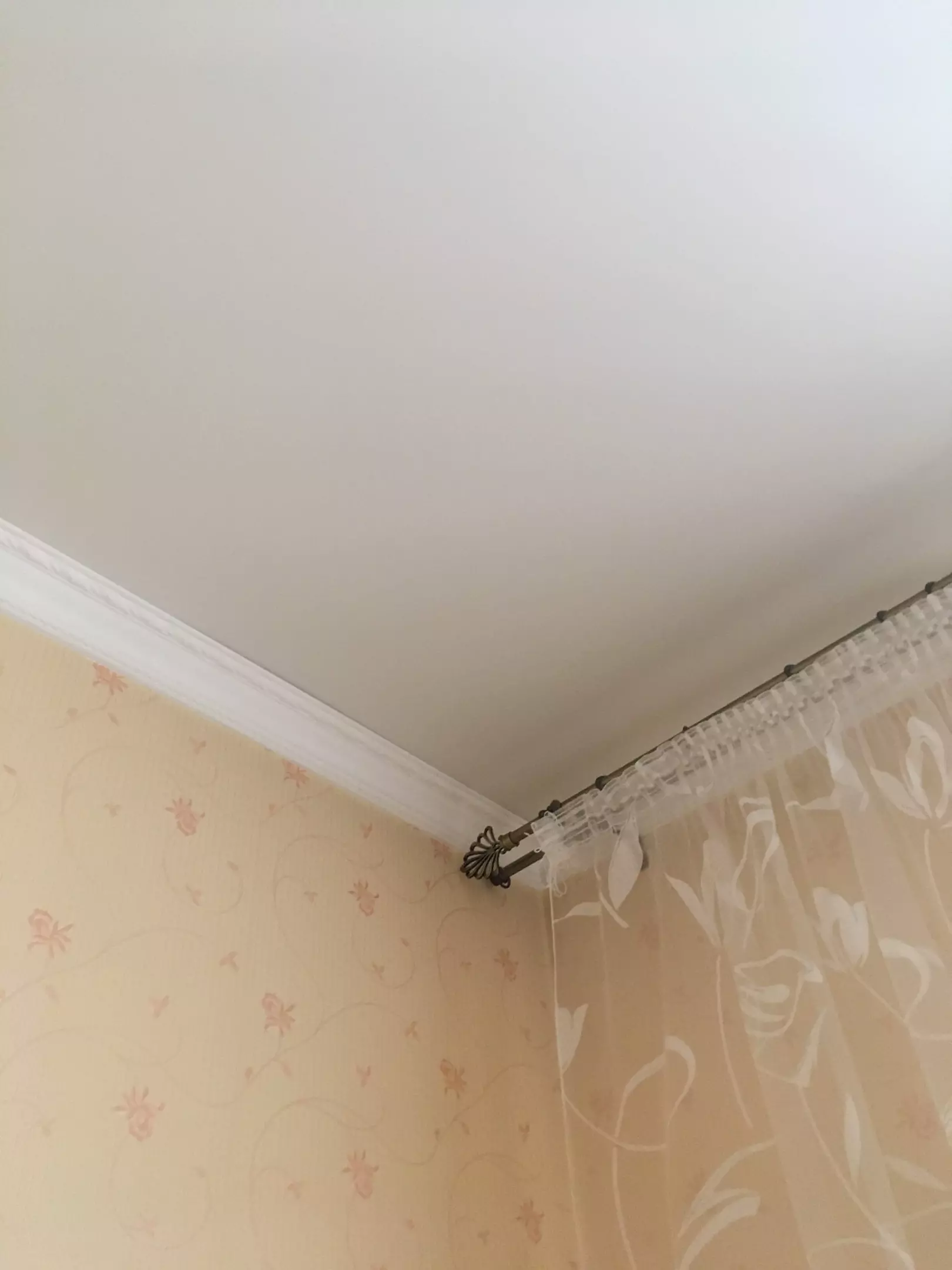 Саки, , фото 1