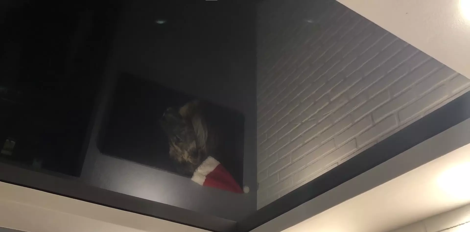 Щёлково, , фото 3