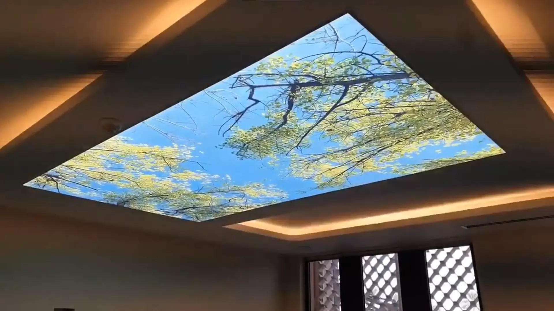 Щёлково, , фото 1