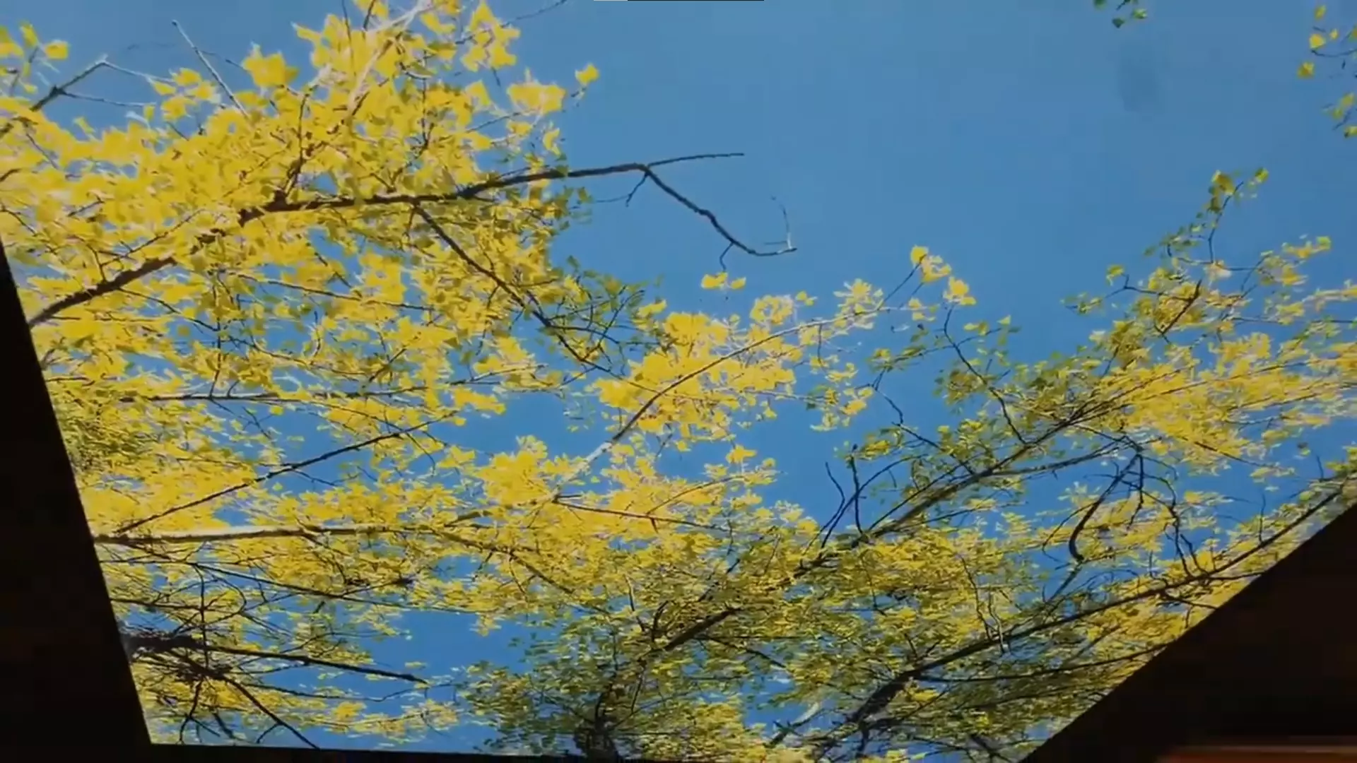 Щёлково, , фото 2