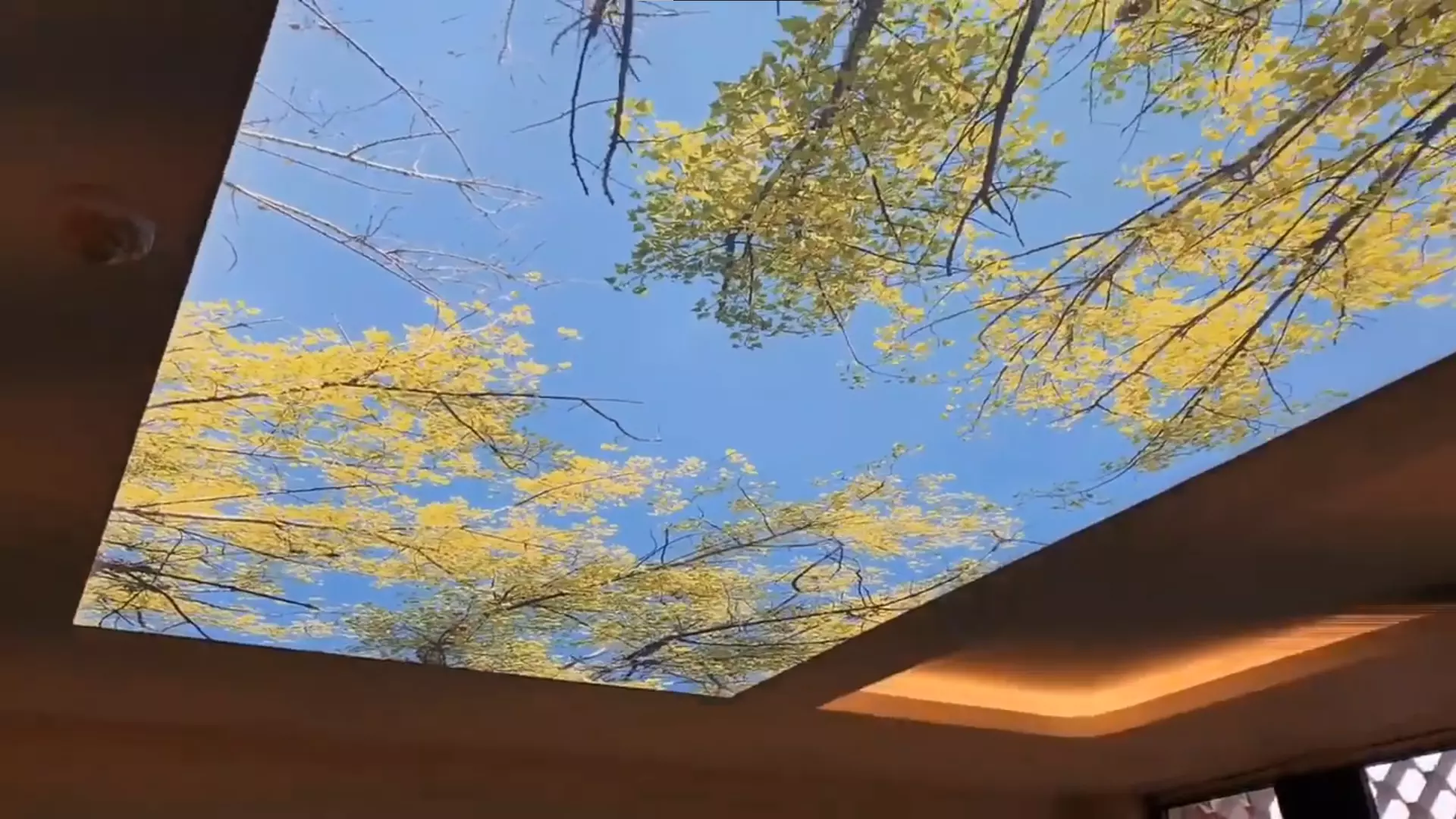 Щёлково, , фото 3